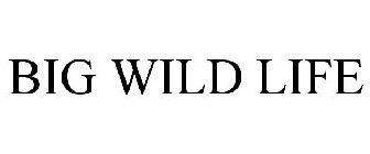 BIG WILD LIFE