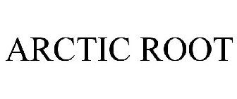 ARCTIC ROOT