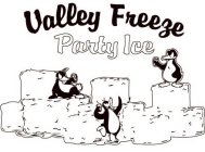 VALLEY FREEZE PARTY ICE