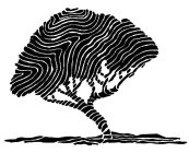 Image Trademark