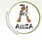 AIIIZA LATEST AND FASHION ACCESORIES