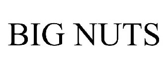 BIG NUTS