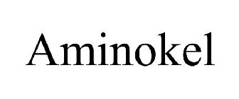 AMINOKEL