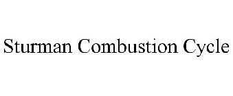 STURMAN COMBUSTION CYCLE