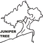 JUNIPER TREE