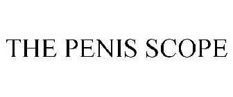THE PENIS SCOPE