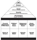 SELF ACTUALIZATION ESTEEM (SELF-RESPECT, AUTONOMY, STATUS) SOCIAL (AFFECTION, BELONGING, ACCEPTANCE) SECURITY (PROTECTION FROM PHYSICAL AND EMOTIONAL HARM) PHYSIOLOGICAL (HUNGER, THIRST, SHELTER) FINA