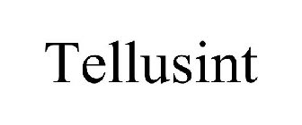 TELLUSINT