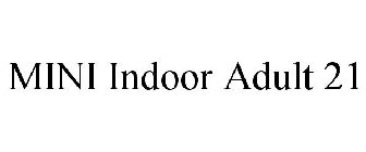 MINI INDOOR ADULT 21