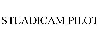STEADICAM PILOT