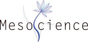 MESOSCIENCE