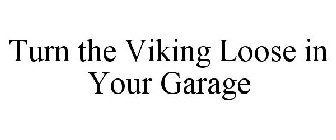 TURN THE VIKING LOOSE IN YOUR GARAGE