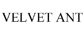 VELVET ANT
