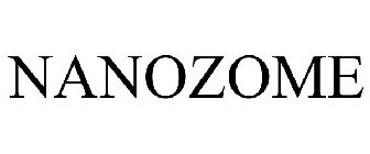 NANOZOME