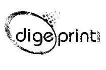 DIGEPRINT.COM