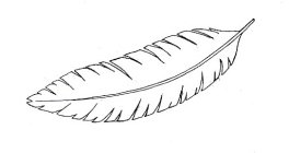 Image Trademark