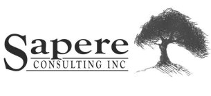 SAPERE CONSULTING INC