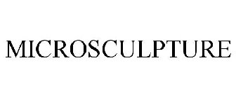 MICROSCULPTURE