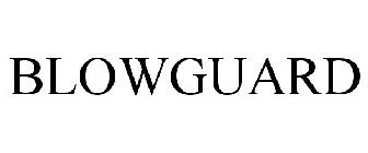 BLOWGUARD
