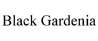 BLACK GARDENIA