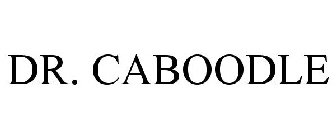 DR. CABOODLE