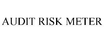 AUDIT RISK METER