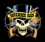 NOVEMBER RAIN