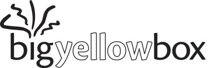 BIG YELLOW BOX