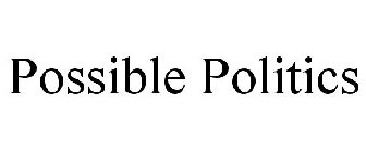 POSSIBLE POLITICS
