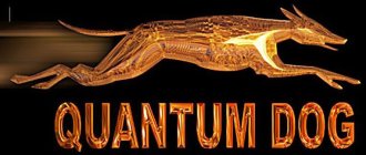 QUANTUM DOG
