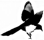 Image Trademark