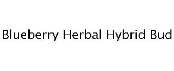 BLUEBERRY HERBAL HYBRID BUD
