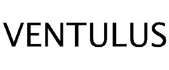 VENTULUS