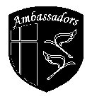 AMBASSADORS