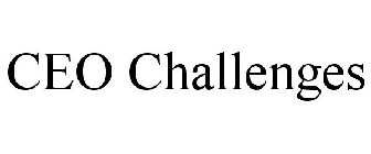 CEO CHALLENGES