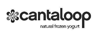 CANTALOOP NATURAL FROZEN YOGURT