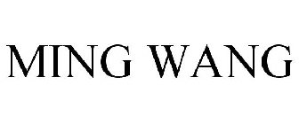 MING WANG