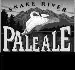 SNAKE RIVER PALE ALE