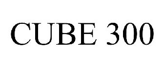 CUBE 300