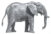 Image Trademark