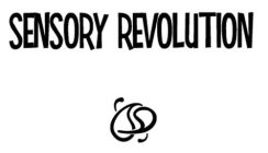 SENSORY REVOLUTION