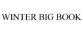 WINTER BIG BOOK