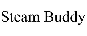 STEAM BUDDY