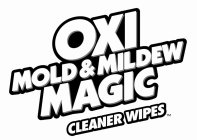 HOUSEHOLD MOLD & MILDEW CLEANER WIPE