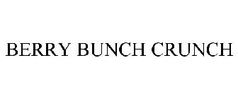 BERRY BUNCH CRUNCH