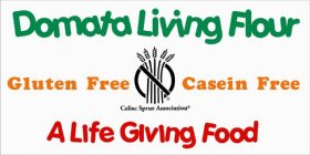 DOMATA LIVING FLOUR GLUTEN FREE CASEIN FREE A LIFE GIVING FOOD CELIAC SPRUE ASSOCIATION