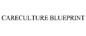 CARECULTURE BLUEPRINT