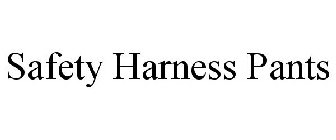 SAFETY HARNESS PANTS