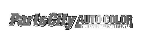 PARTSCITY AUTO COLOR PROFESSIONAL PAINT PEOPLE