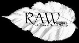 RAW MINERALS ALL NATURAL MINERAL MAKEUP